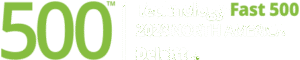 Deloitte Fast Tech Award_500